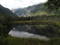 IMG 2839 - Franz Josef