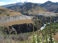 IMG_3035 - Skippers Canyon - Queenstown.JPG