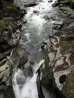 IMG 3141 - Weg zum Milford Sound