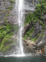 IMG_3146 - Milford Sound.JPG