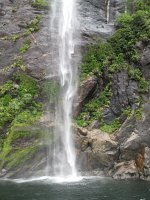 IMG 3146 - Milford Sound