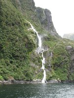 IMG 3162 - Milford Sound