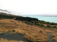 IMG_3298 - Weg zum Mount Cook.JPG