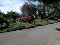 IMG 3327 - Botanischer Garten - Christchurch