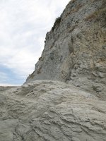 IMG_3346.JPG