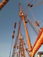 IMG 4000