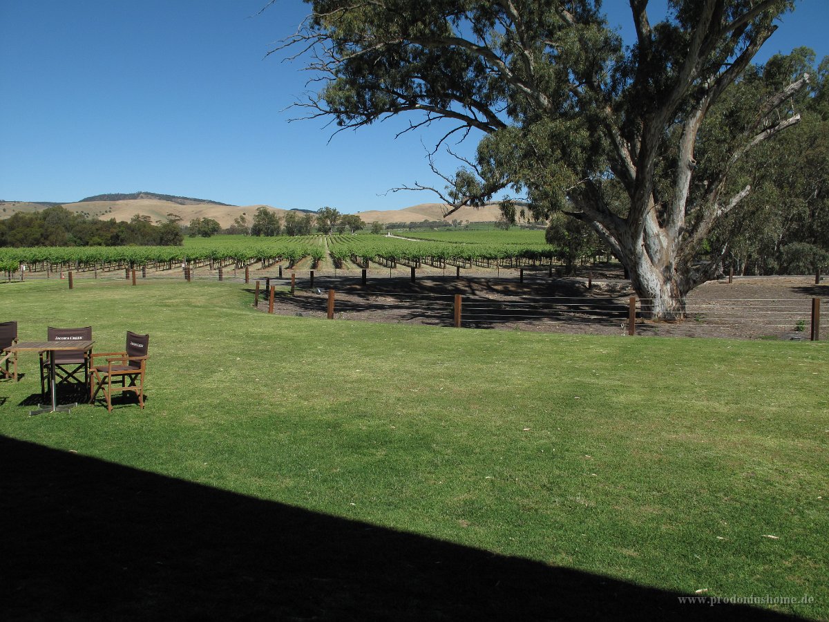 IMG 4315 - Barossa Valley - Weinprobe