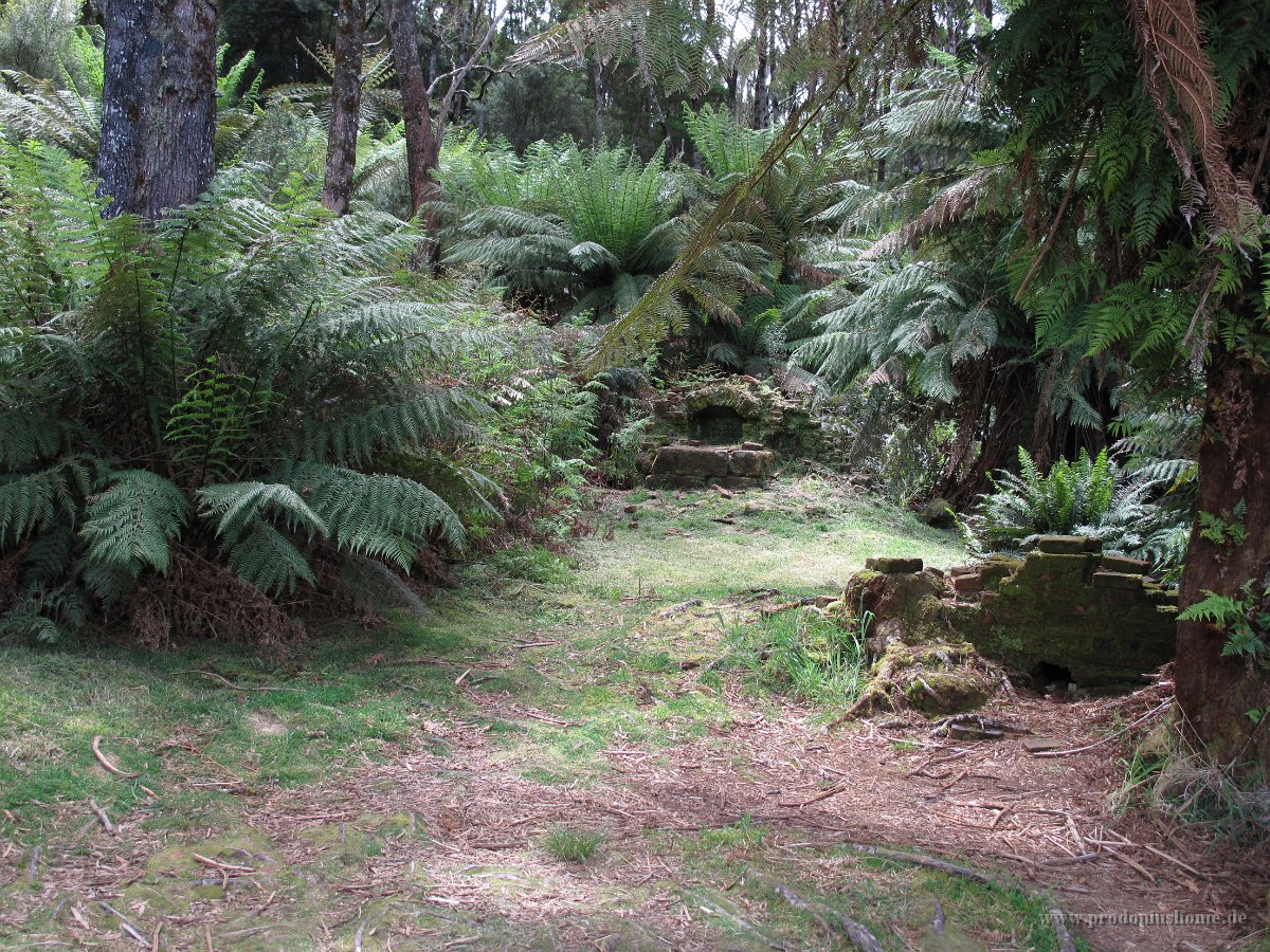 IMG 5272 - Cradle Mountain Nationalpark