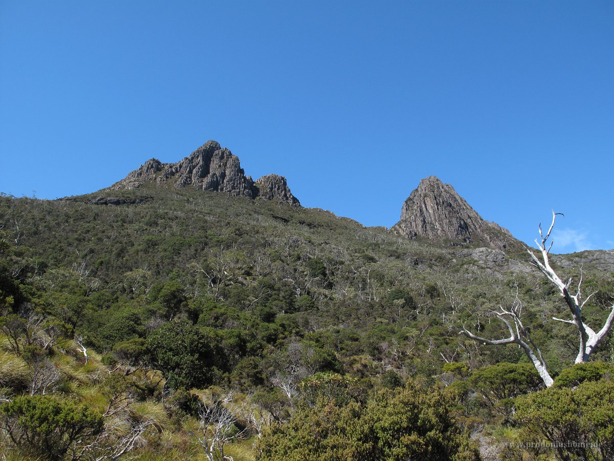 IMG 5323 - Cradle Mountain Nationalpark