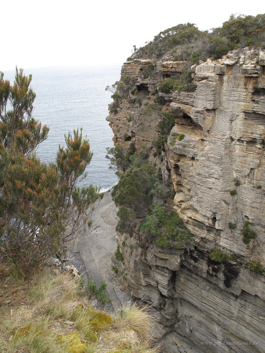 IMG 5515 - Tasman Arch