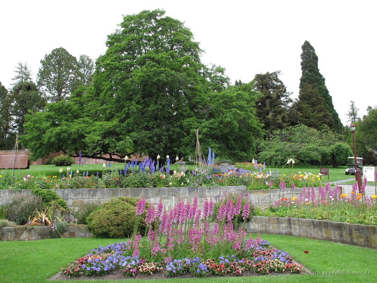 IMG 5525 - Hobart - Botanischer Garten