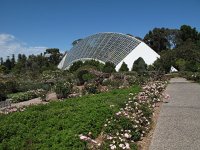 IMG 4128 - Adelaide - Botanischer Garten