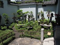 IMG 5091 - Sydney - Chinesischer Garten