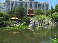 IMG_5094 - Sydney - Chinesischer Garten.JPG
