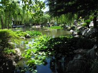 IMG 5097 - Sydney - Chinesischer Garten