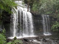 IMG_5163 - Tasmanien - Russel Falls.JPG