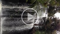IMG 5163a - Tasmanien - Russel Falls