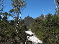 IMG 5335 - Cradle Mountain Nationalpark