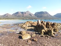 IMG_5421 - Freycinet Nationalpark - Richardsons Beach.JPG