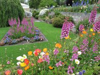 IMG 5524 - Hobart - Botanischer Garten