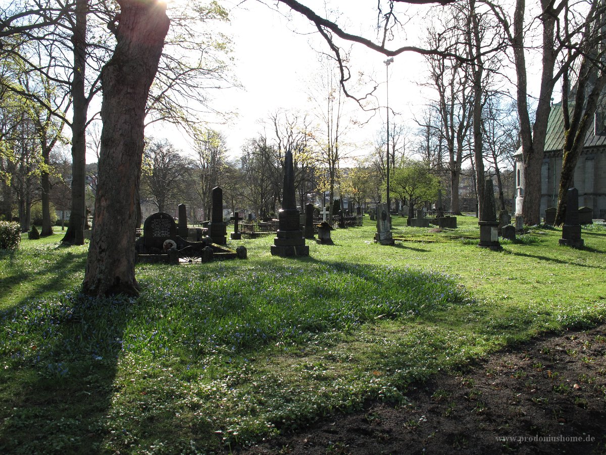 IMG 6966 - Trondheim - Nidaroskathedrale Friedhof