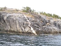 IMG_5953 - Bodø - RIB Boot Safari.JPG