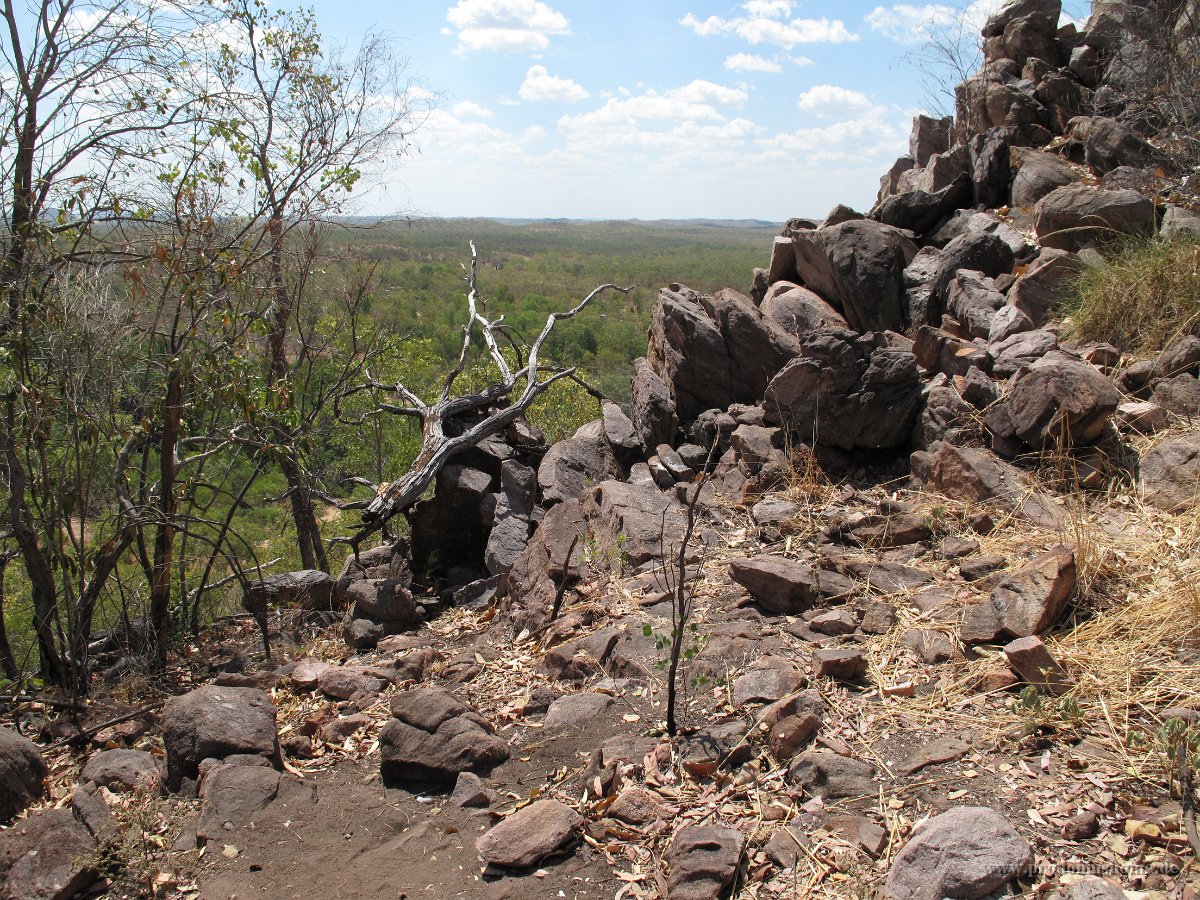 IMG 7797 - Edith Falls