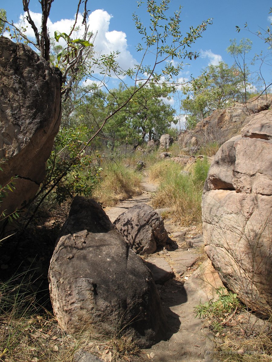 IMG 7801 - Edith Falls