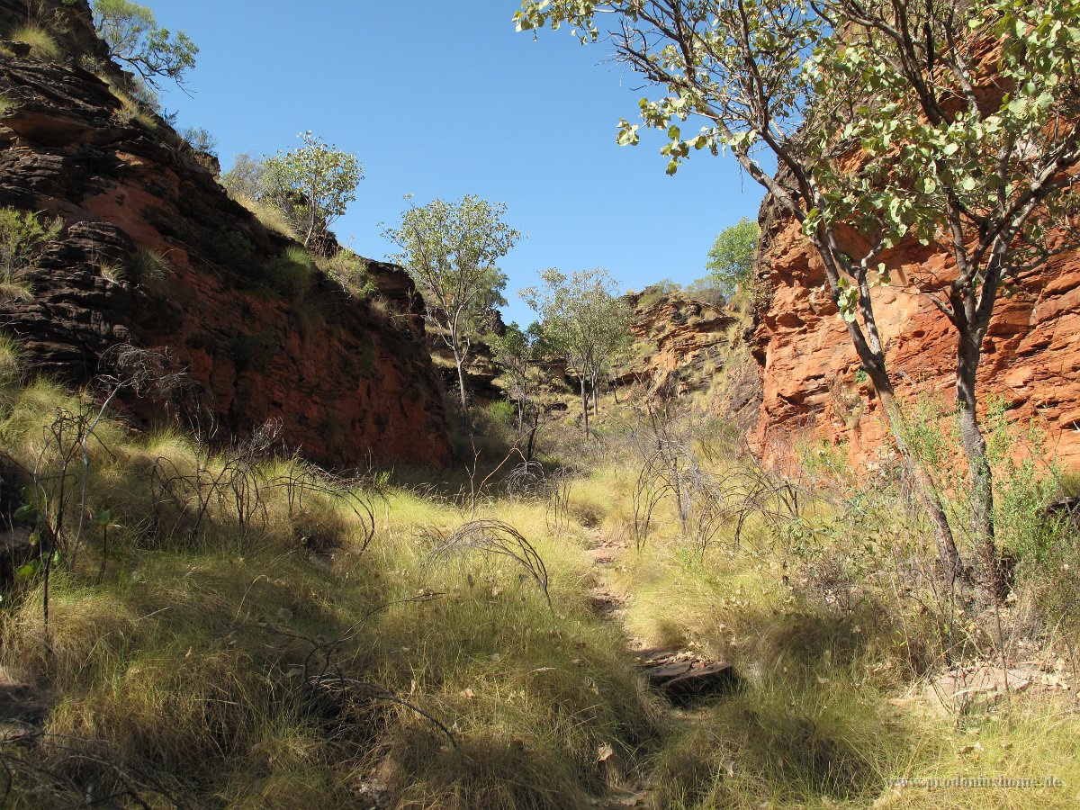 IMG 8003 - Kununurra - Hidden Valley