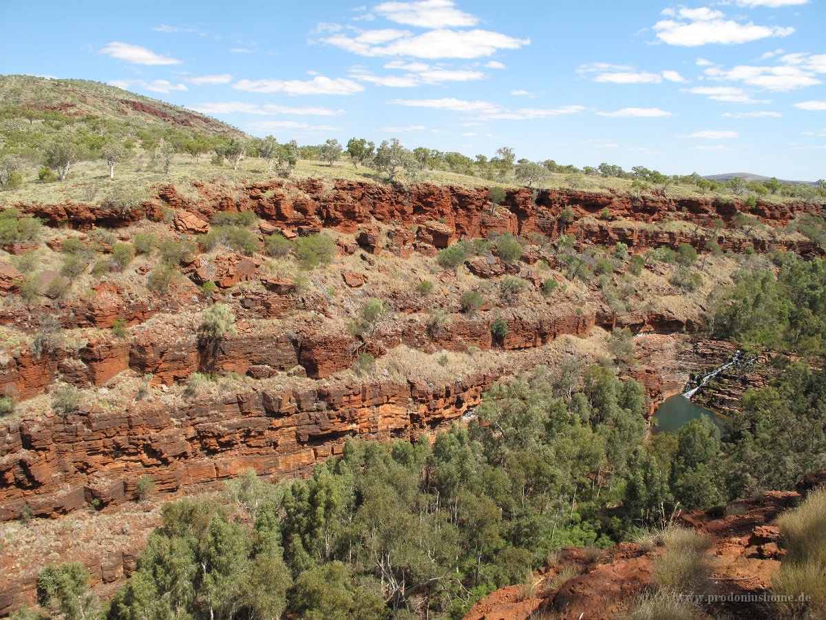 IMG 8487 - bei Fortescue Falls