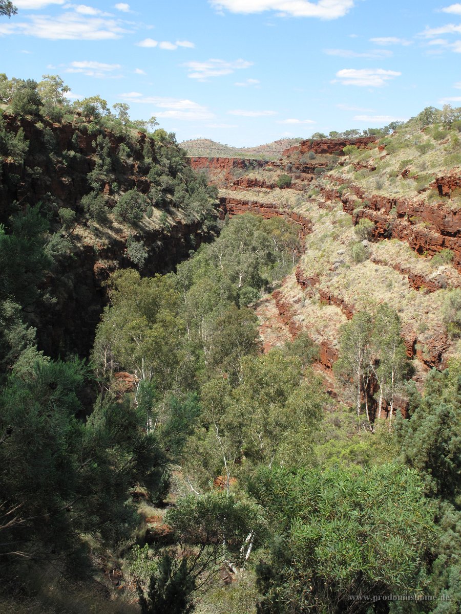 IMG 8492 - bei Fortescue Falls