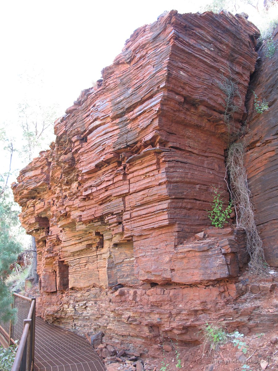 IMG 8495 - bei Fortescue Falls