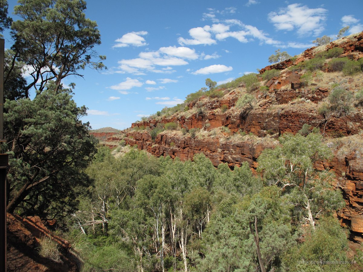 IMG 8510 - bei Fortescue Falls