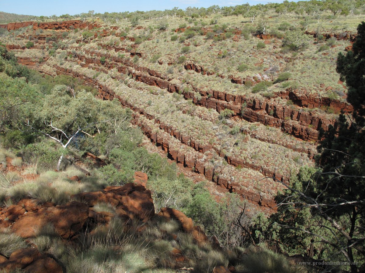 IMG 8514 - bei Fortescue Falls