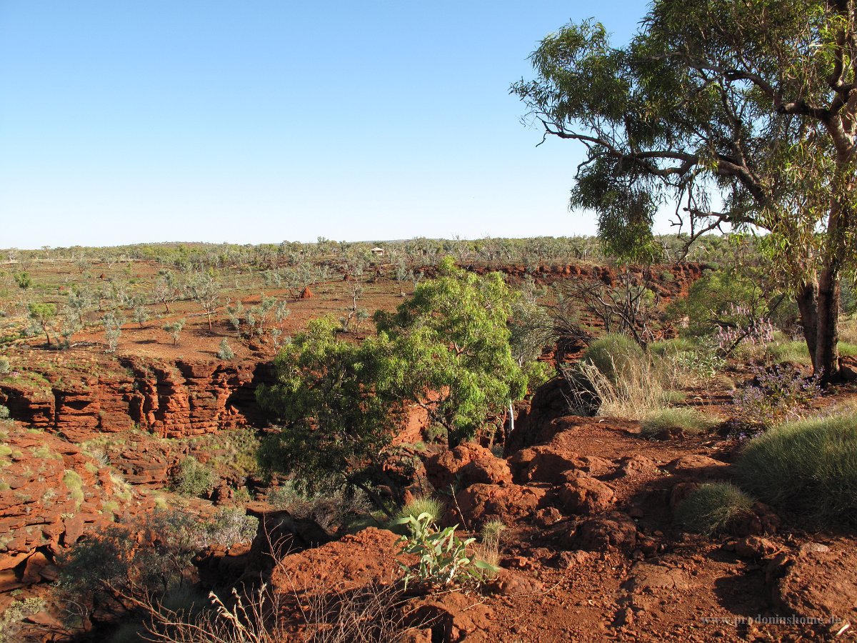 IMG 8581 - Karijini