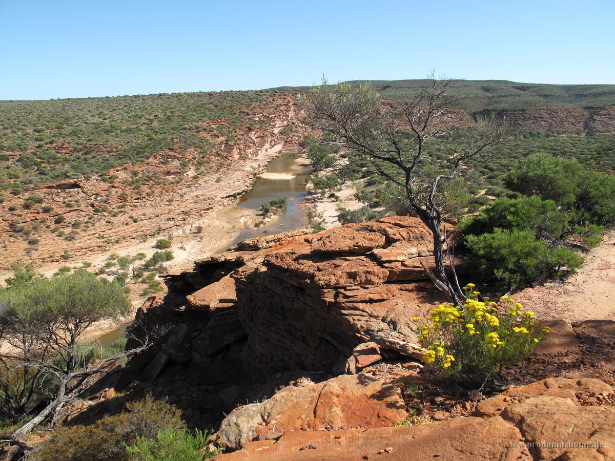 IMG 9022 - Kalbarri Nationapark