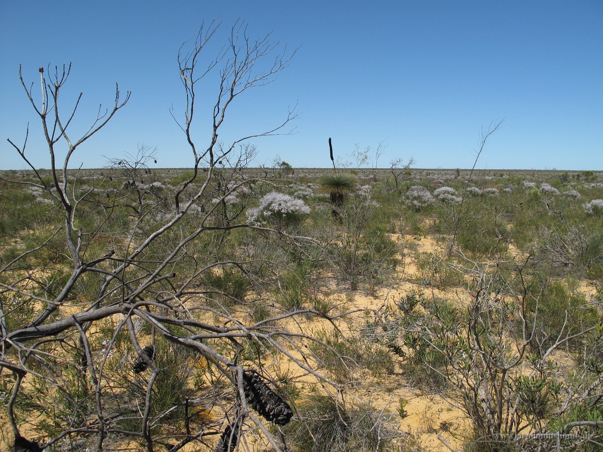 IMG 9073 - Kalbarri Nationapark