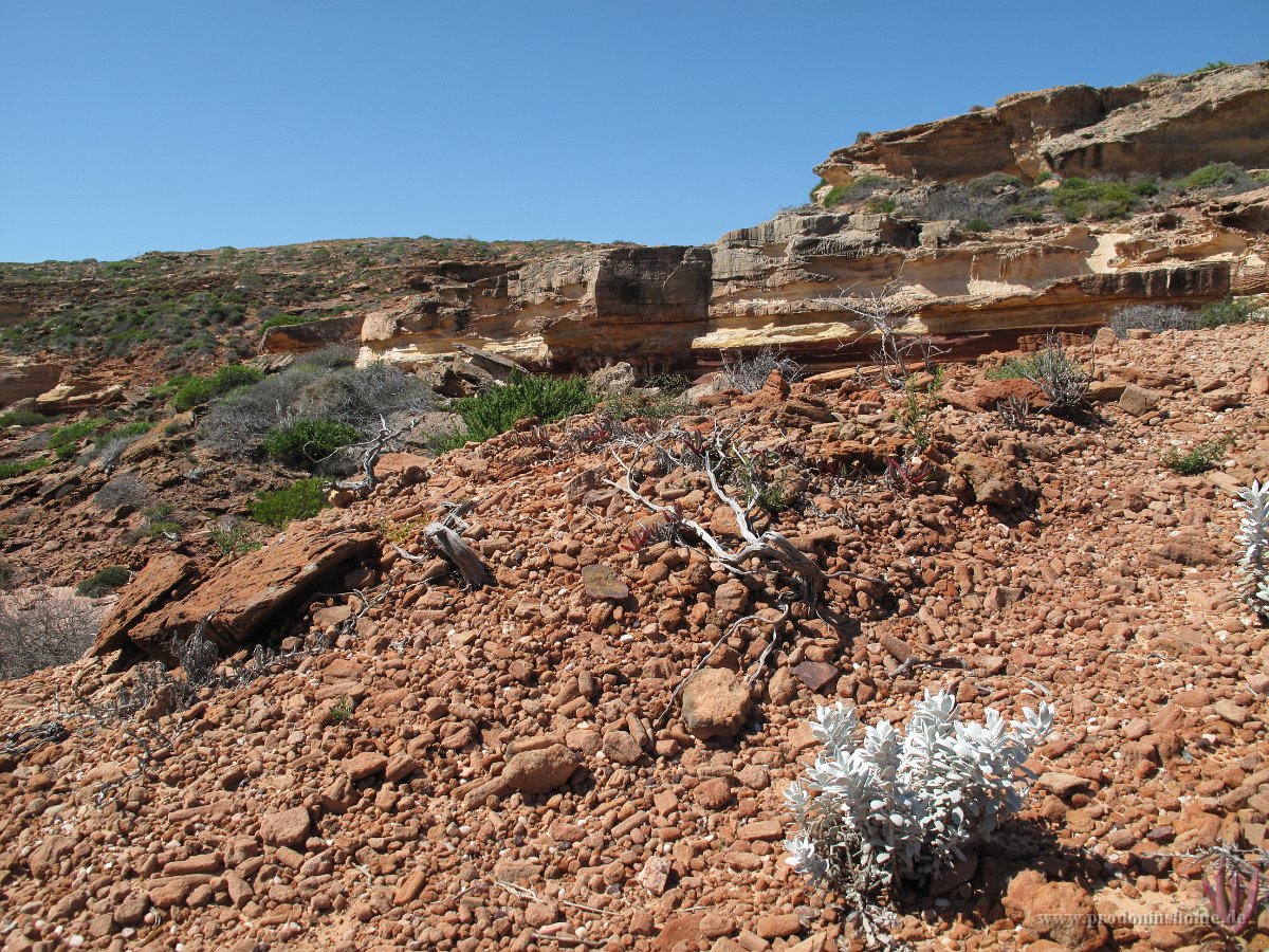 IMG 9106 - bei Kalbarri