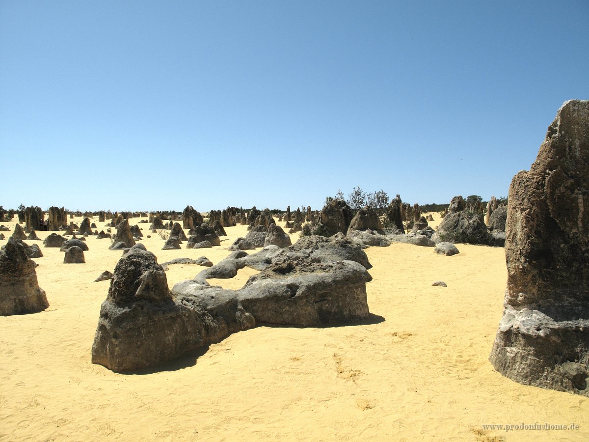 IMG 9148 - Pinnacles