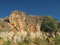 IMG_8113 - Fitzroy Crossing - Geikie Gorge.JPG