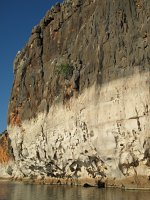 IMG_8123 - Fitzroy Crossing - Geikie Gorge.JPG