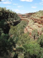 IMG 8492 - bei Fortescue Falls