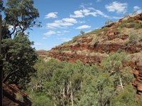 IMG_8510 - bei Fortescue Falls.JPG