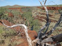 IMG 8523 - bei Fortescue Falls