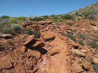 IMG_9097 - bei Kalbarri.JPG