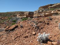 IMG_9106 - bei Kalbarri.JPG