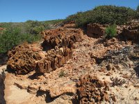 IMG 9108 - bei Kalbarri