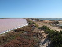 IMG_9116 - bei Gregory - Pink Sea.JPG