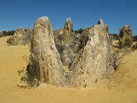 IMG 9176 - Pinnacles - Kangoroo