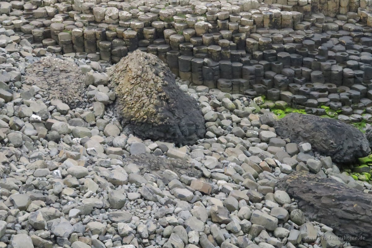 IMG 0145 - Giant's Causeway